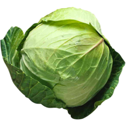 Photo of Cabbage Drum Whole