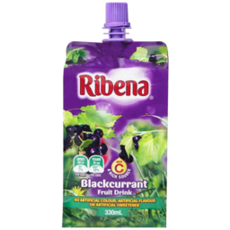 Photo of Ribena Blackcurrent Can
