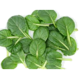 Photo of Spinach Leaves Baby Kg