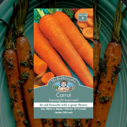 Photo of Seed Carrot Topweight Improv A
