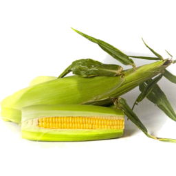 Photo of Corn Cobs
