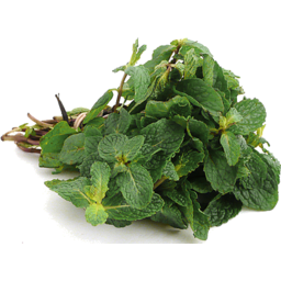 Photo of Herb Mint