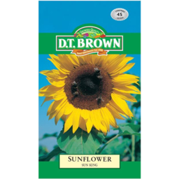 Photo of Dt Brown Seed Sunflower Sun King