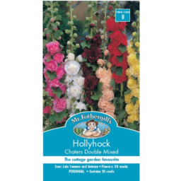 Photo of Hollyhock Chaters Double Mixed