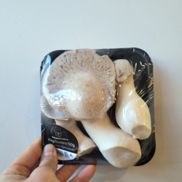 Photo of Mushrooms King Oyster Punnet