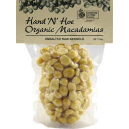 Photo of Macadamia