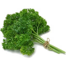 Photo of Parsley Curly Bunch