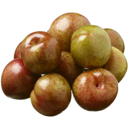 Photo of Plum Early Queen