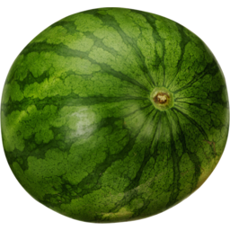 Photo of Melon Water Red Seedless