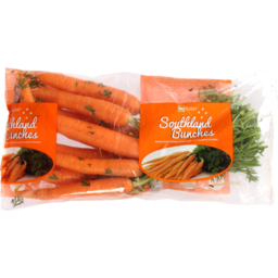 Photo of So Sweet Southland Bunches Bunched Carrots