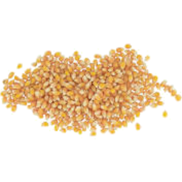 Photo of Popping Corn