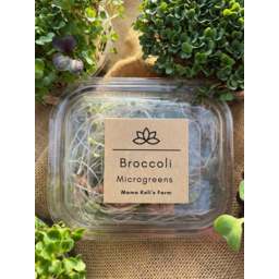 Photo of Broccoli Microgreens 45g