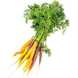 Photo of Carrots Rainbow Bunch Each