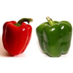 Photo of Capsicum Green/Red Org.*