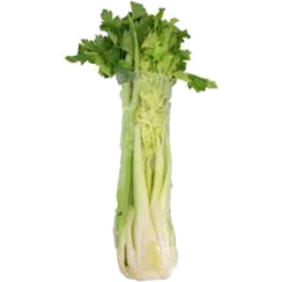 Photo of Celery Bunch Half