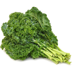 Photo of Green Kale Organic Bunch
