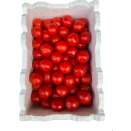 Photo of Sauce Tomatoes (10kg Box)