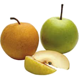 Photo of Pears Nashi