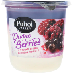 Photo of Puhoi Divine Berries 450g