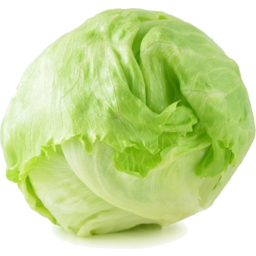 Photo of Round Lettuce Ea