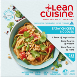 Photo of Lean Cuisine Chicken Noodle Satay