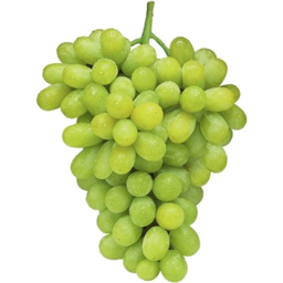 Photo of Thompson Seedless Grapes