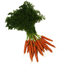 Photo of Carrots Dutch Bunch