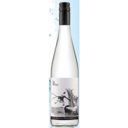 Photo of Water - Sparkling Water 750ml