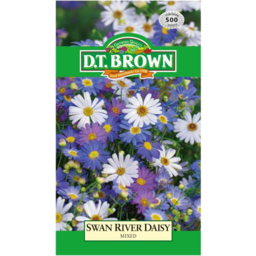 Photo of Dt Brown Seeds Swan River Daisy