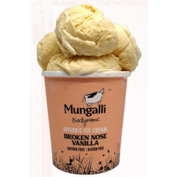 Photo of Mungalli Organic Vanilla Ice Cream