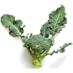 Photo of Broccoli (Untrimmed) Ea