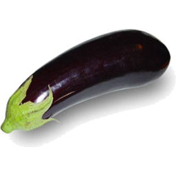 Photo of Eggplant Fresh Kg