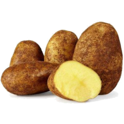 Photo of Potatoes Dutch Cream Kg