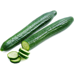Photo of Cucumber Continental Ea