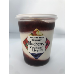 Photo of Y/Live Yog Blueberry 500g
