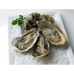 Photo of Toc Oysters Frozen Bistro Sliver 1doz