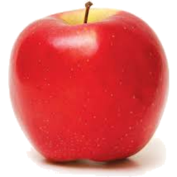 Photo of Apples Beauty