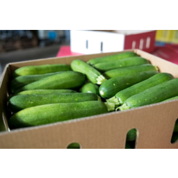 Photo of Box Zucchini