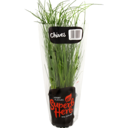 Photo of Fresh Superb Herb Chives