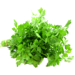 Photo of Herb Parsley Flat Bunch