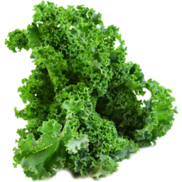 Photo of Kale Green Stem Organic