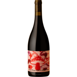 Photo of Alpha Box & Dice Italian Plastic Pinot Pinot 2021