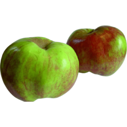 Photo of Apple Oratia Beauty 1kg