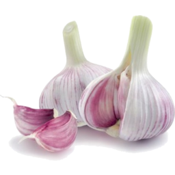 Photo of Spanish Garlic
