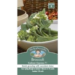 Photo of Mr Fothergills Seeds Broccoli Kailaan Express F1 N