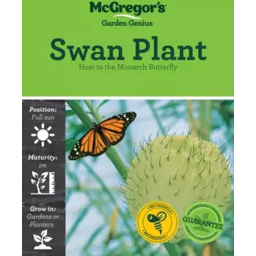 Photo of McGregor's Seed Swan Plants