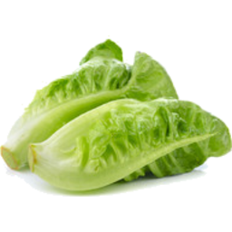 Photo of Lettuce Baby Cos Twin Pack Organic