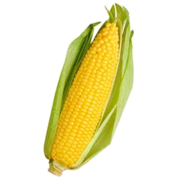 Photo of Corn Cobs Ea