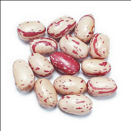 Photo of Global Organics Borlotti Beans 400g