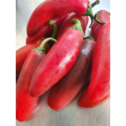 Photo of Chillies Jalapeno Red